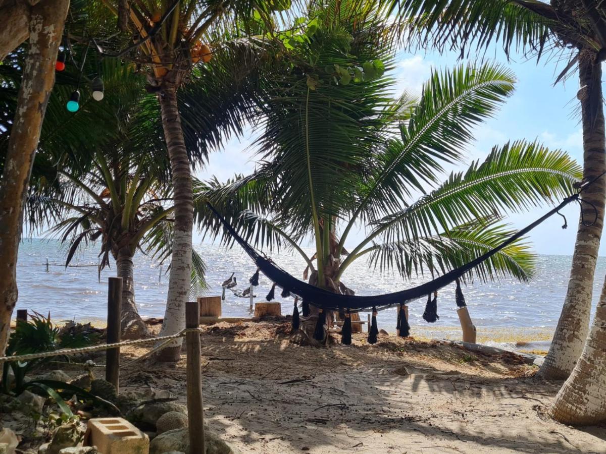 Ecological Hotel Maya Luna Mahahual Bagian luar foto