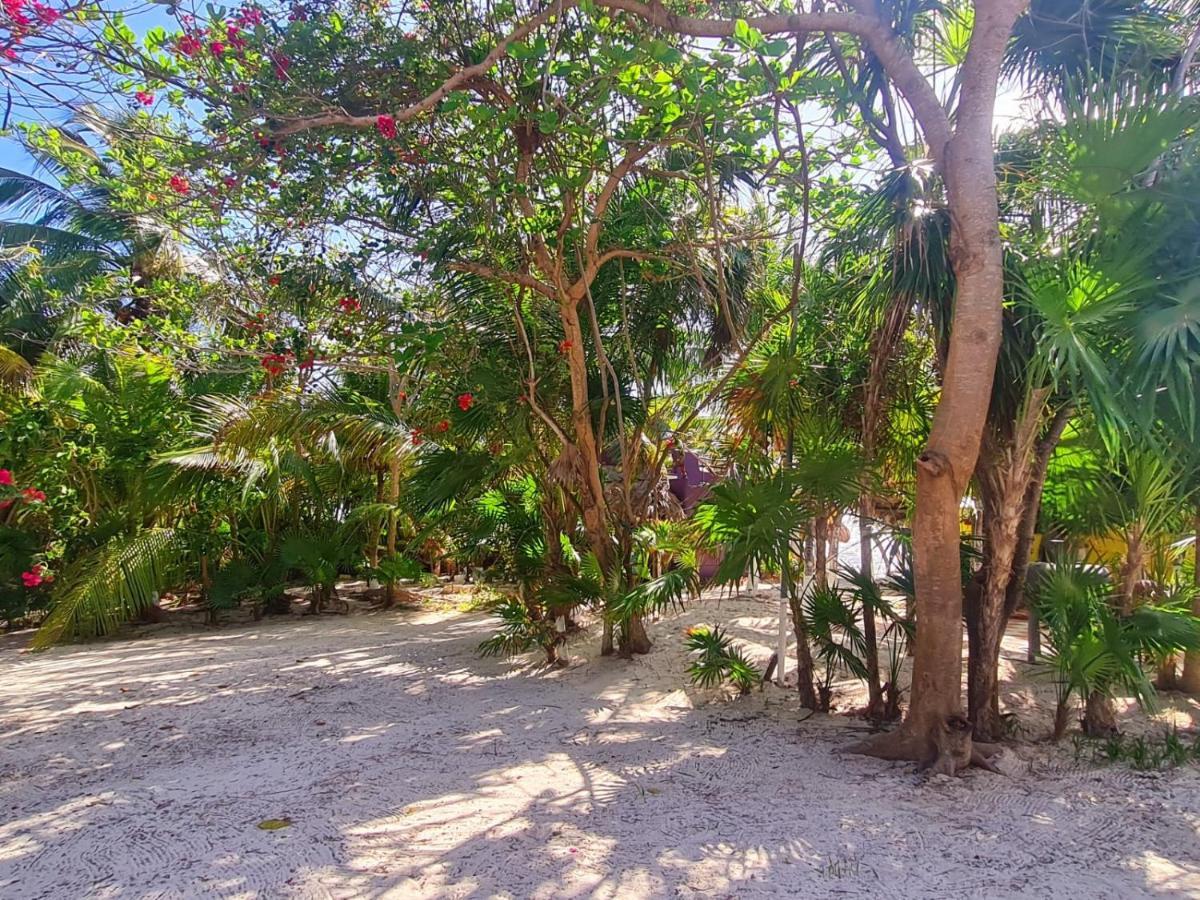 Ecological Hotel Maya Luna Mahahual Bagian luar foto